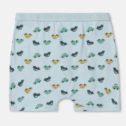 Pierre Robert Undertøy-Boxershorts I Bomull Liten Gutt Jade Green and Sky Blue