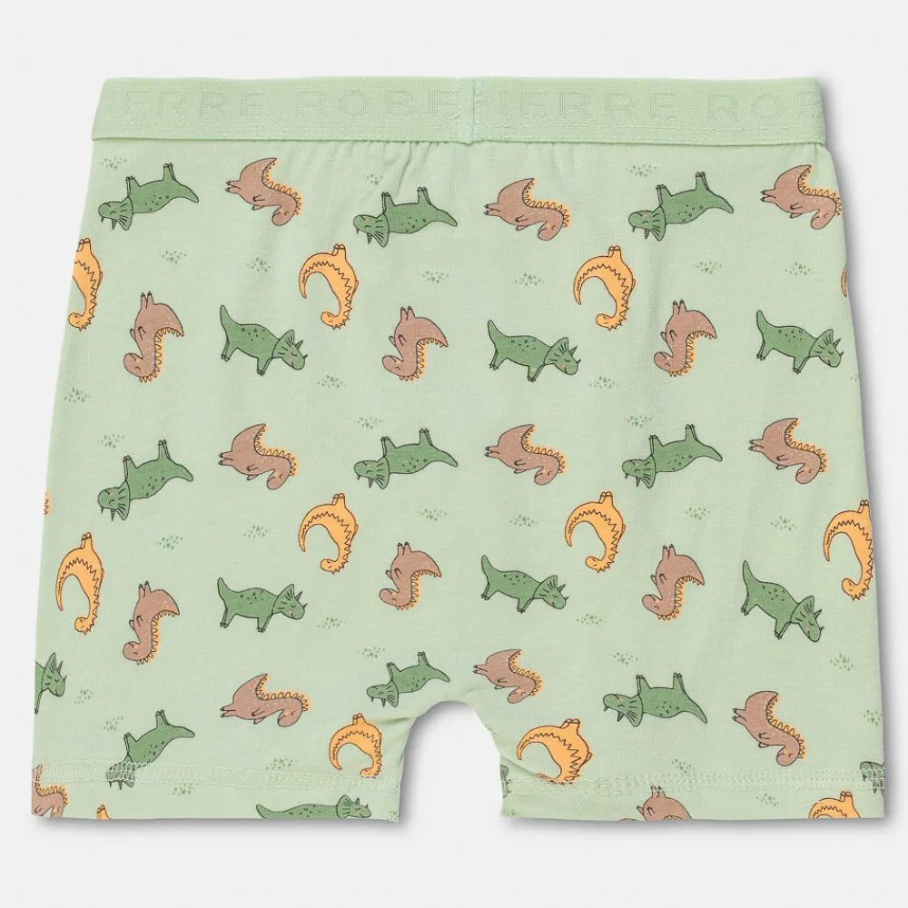 Pierre Robert Undertøy-Boxershorts I Bomull Liten Gutt Sky Blue and Mint Green
