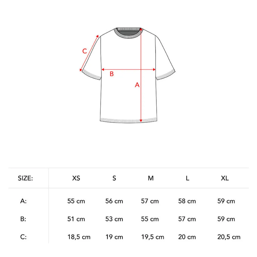 Pierre Robert Overdeler|Sommerull-T-skjorte I Ull Grey Melange
